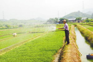 沃爾瑪在塘廈建立東莞首個農超對接基地，新鮮蔬菜直供零售