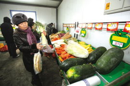 新疆商務主打民生牌，新鮮蔬菜零售前沿實踐