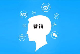 零預(yù)算玩轉(zhuǎn)互聯(lián)網(wǎng)銷售 實用策略與技巧